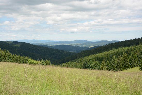 Śnieżnicki Park Krajobrazowy